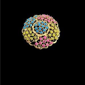 Large vintage Multicolor Brooch